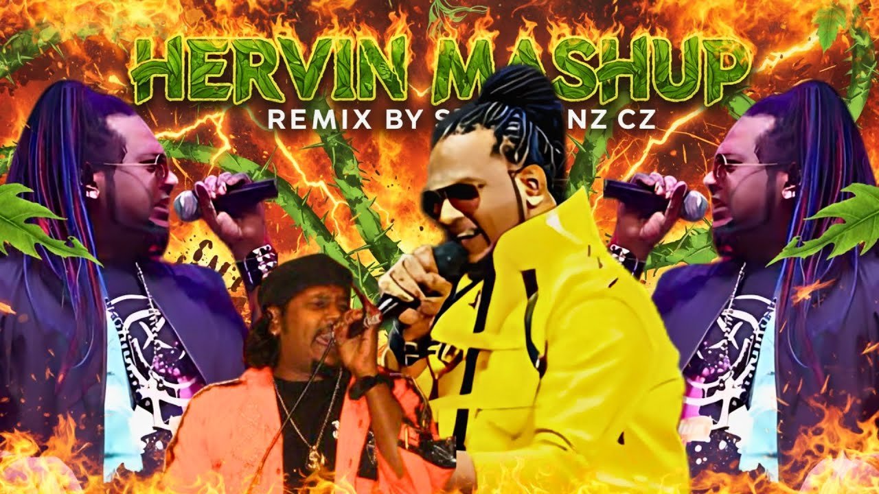 Hervin Mashup
